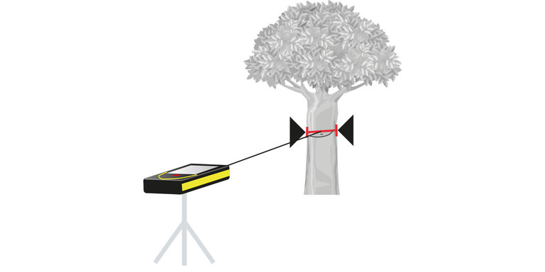 Ilustrația arată cum poate fi determinat diametrul unui trunchi de copac cu o singură măsurătoare folosind măsura laser Leica DISTO X6