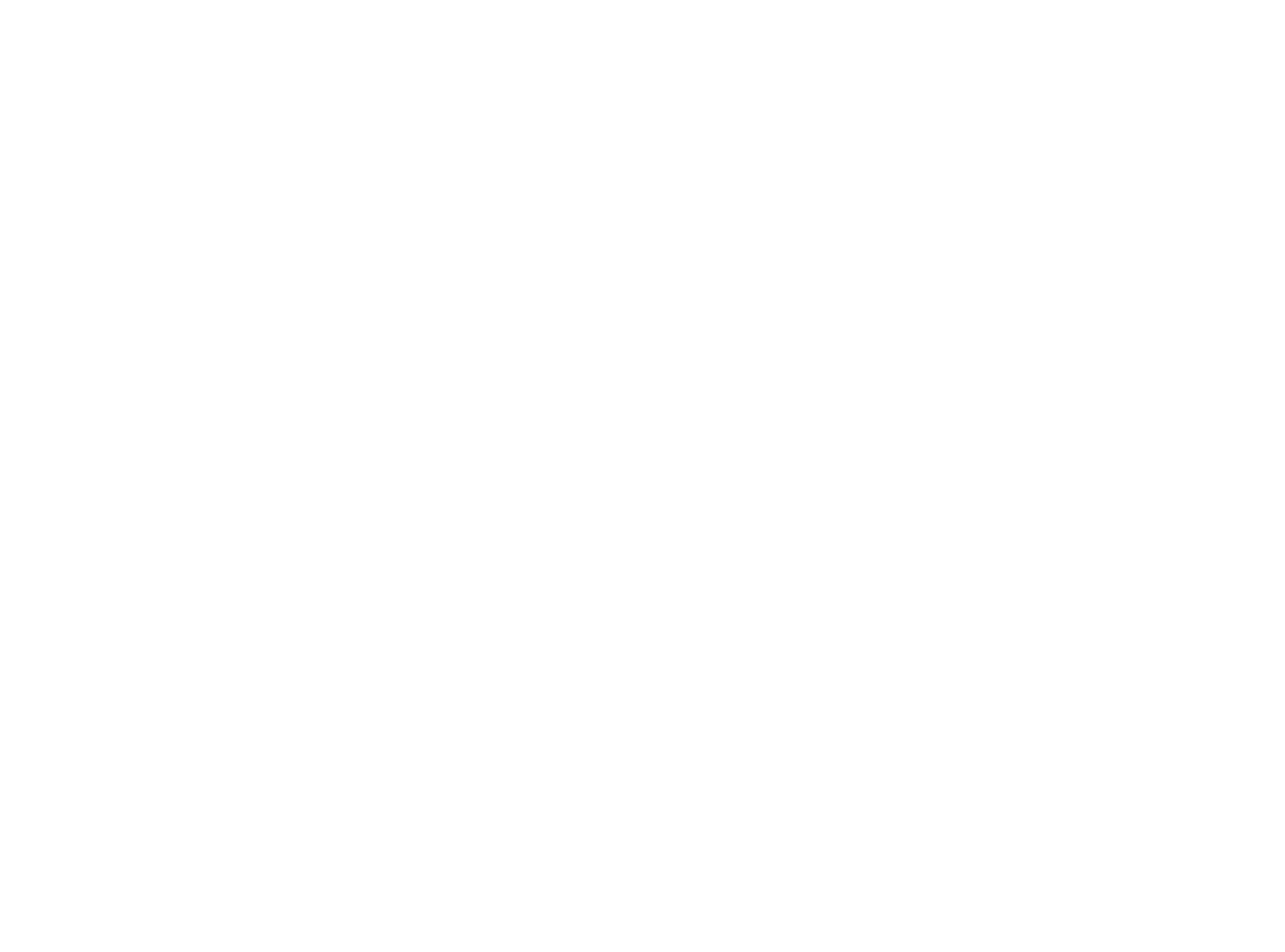 white line vector drawing of BLK2FLY