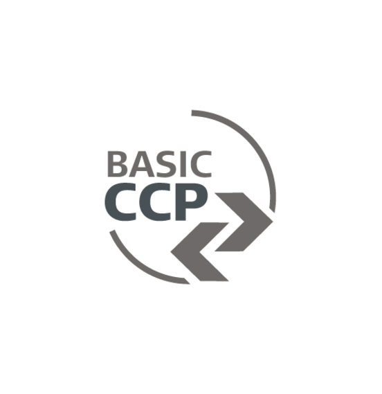 CCP BASIC